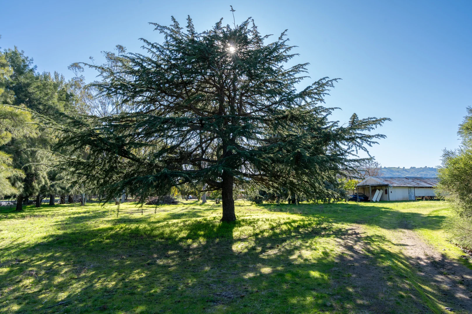 Image 12