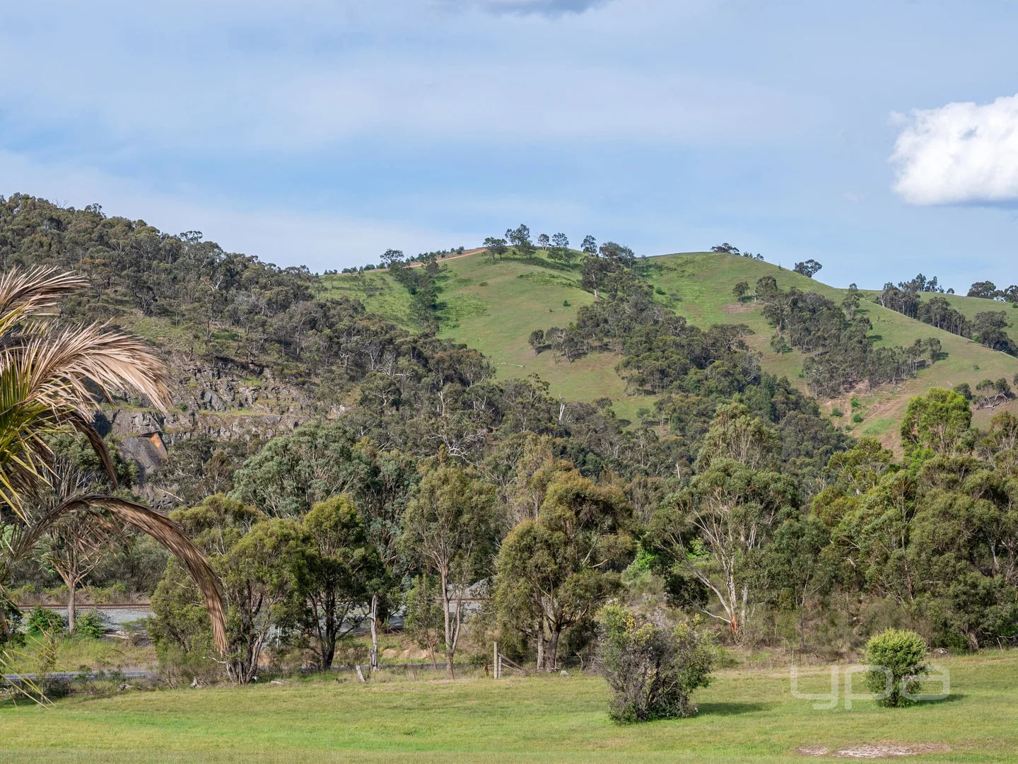 Image 31