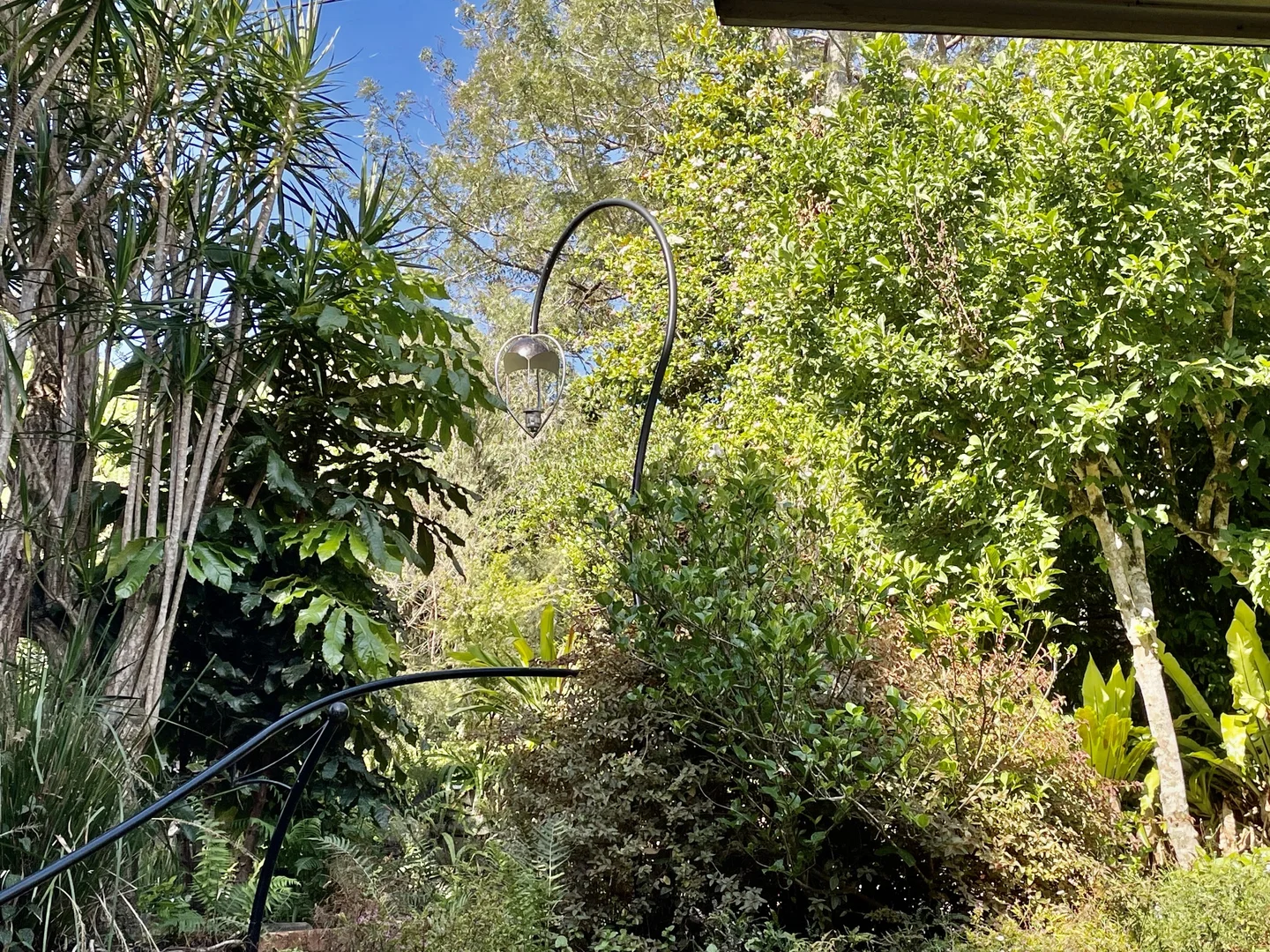 Image 30