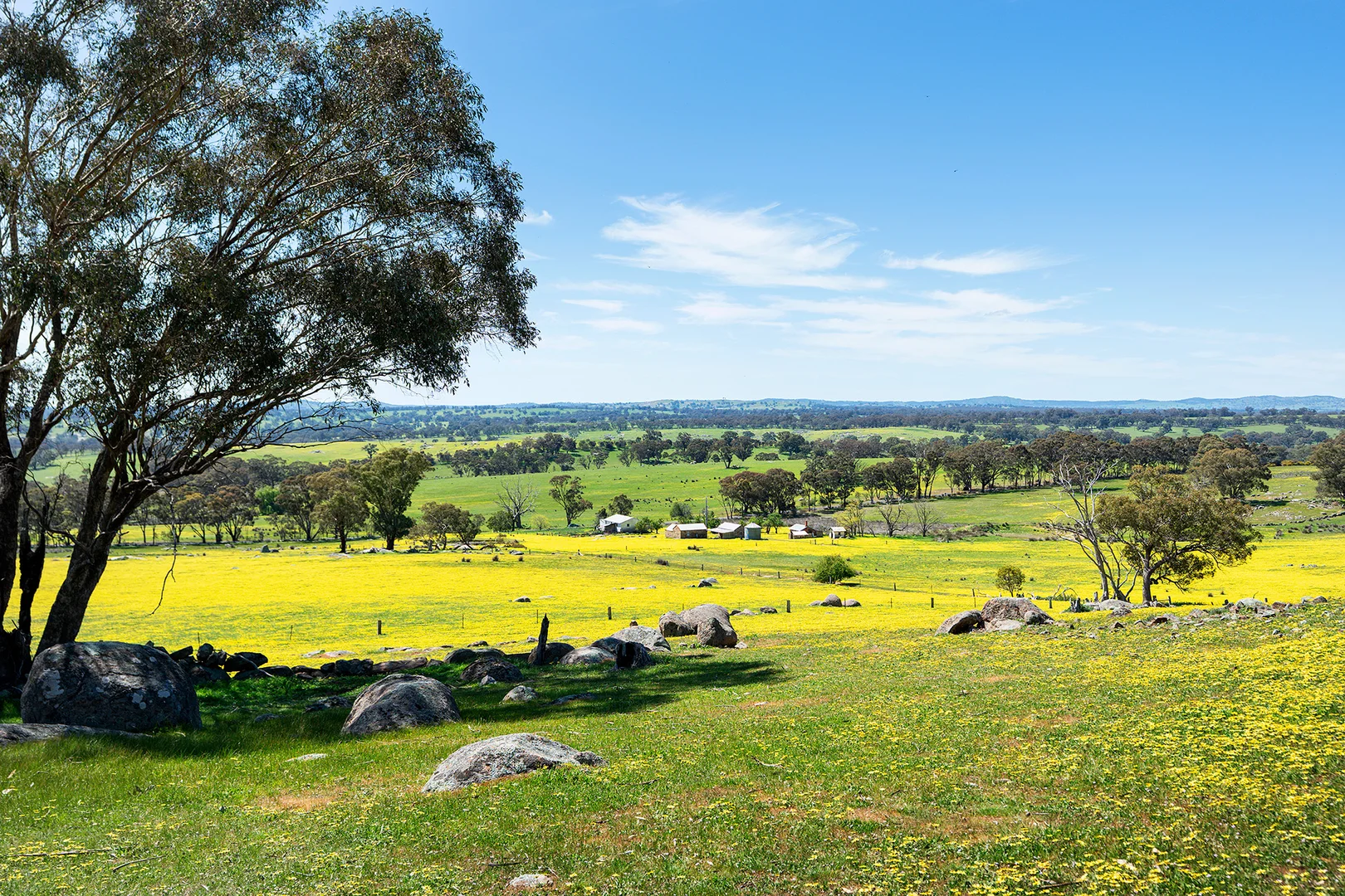 Image 15