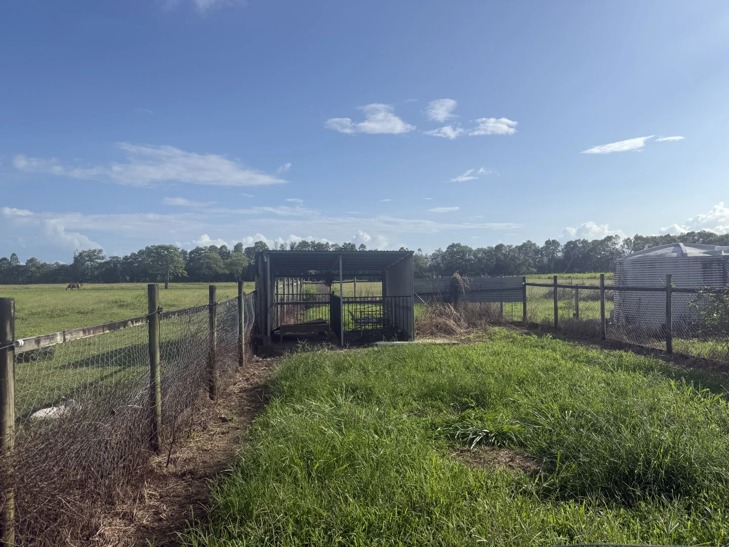 Image 11