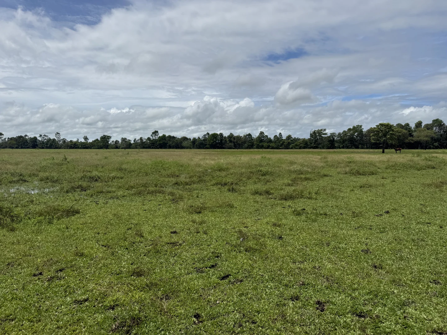 Image 13