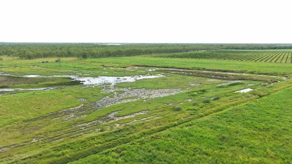 Image 15
