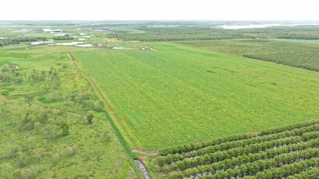 Image 10