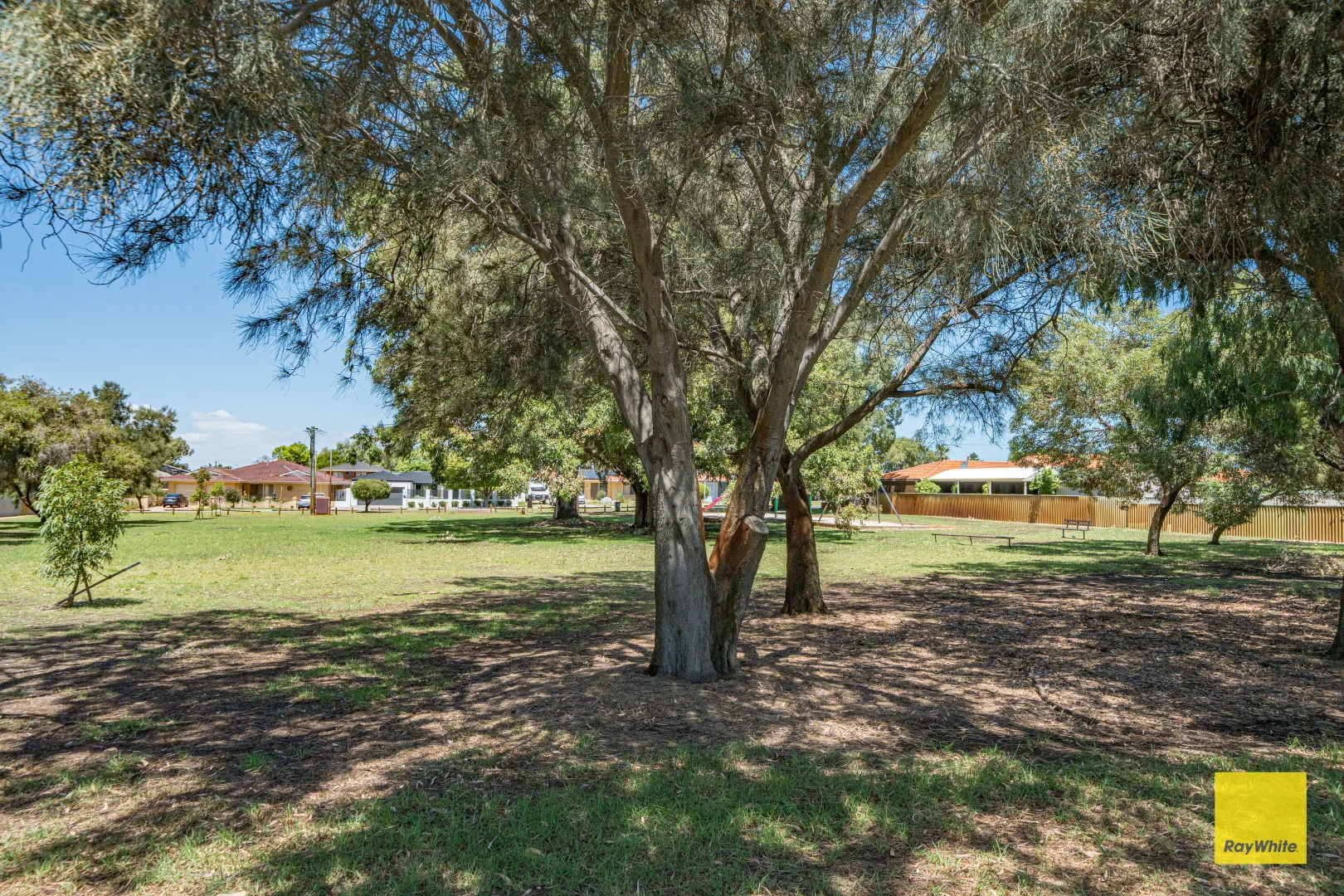 Image 29