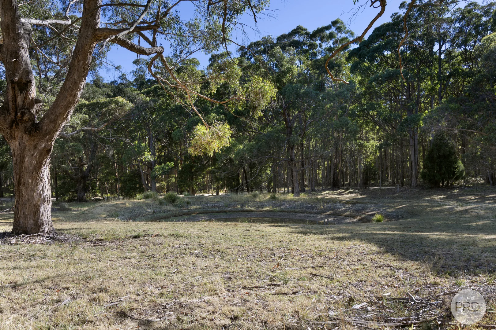 Image 18