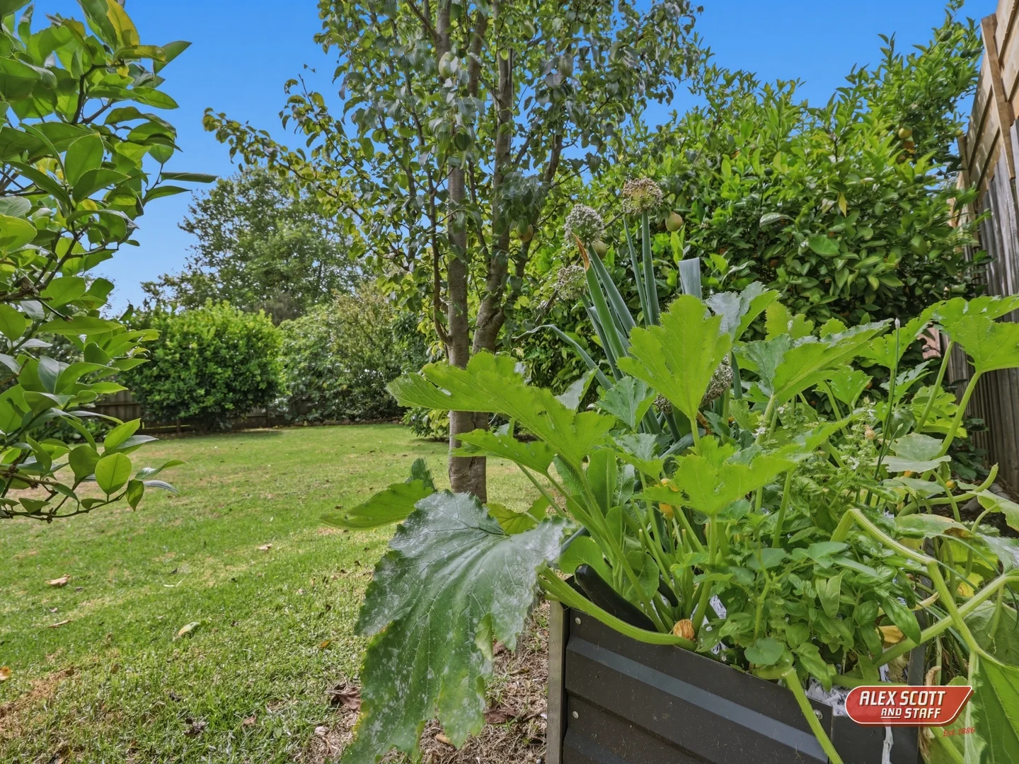 Image 29