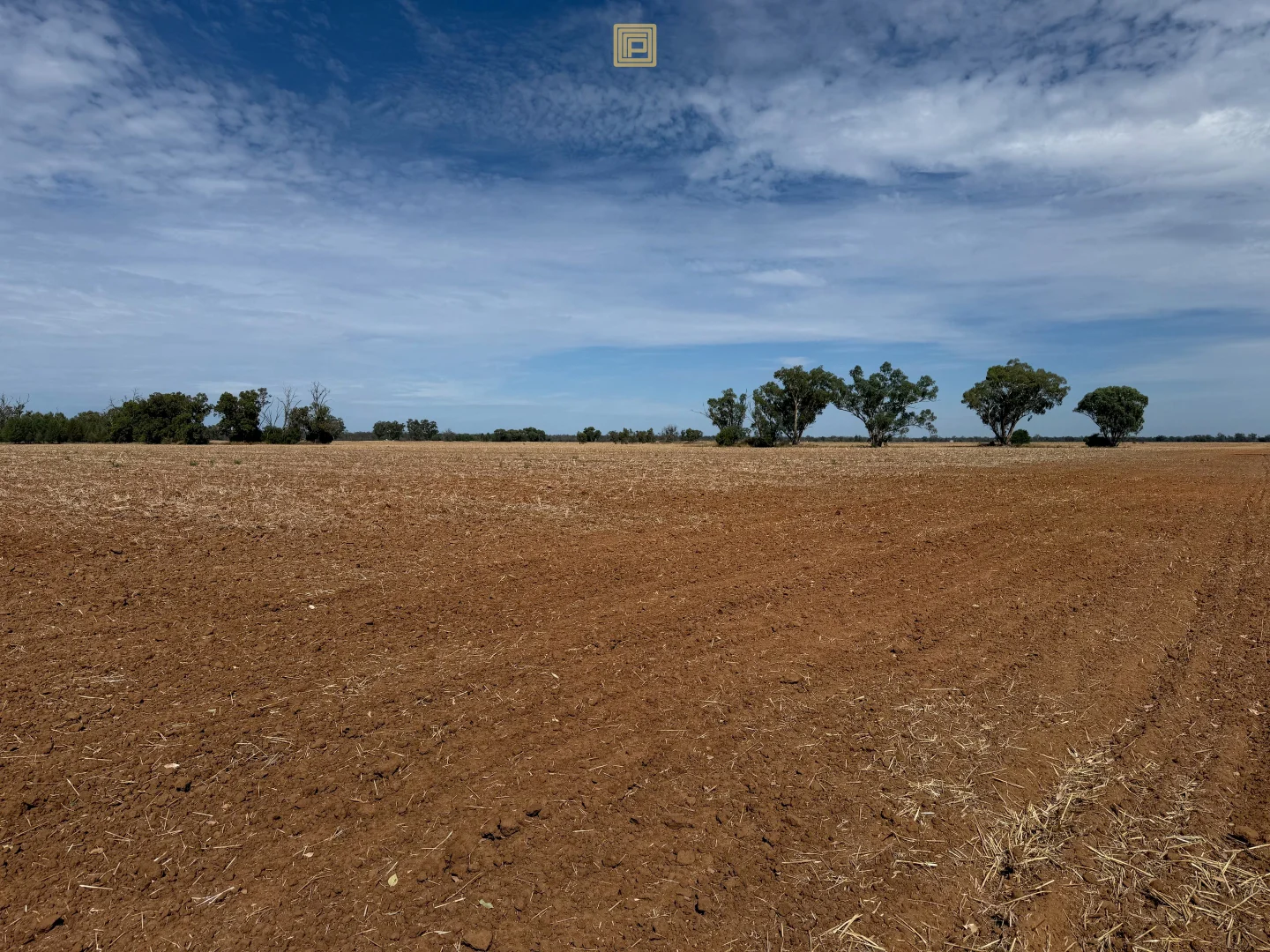 Image 13