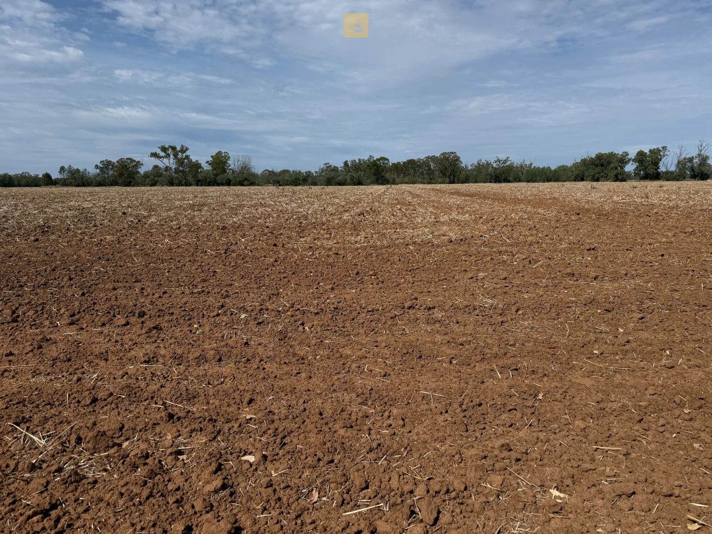 Image 14