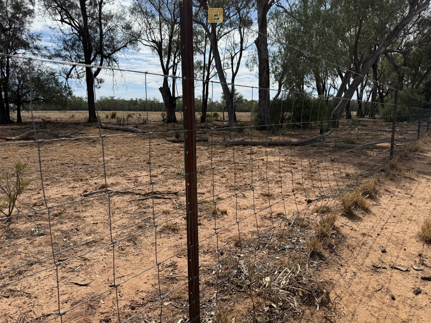 Image 15