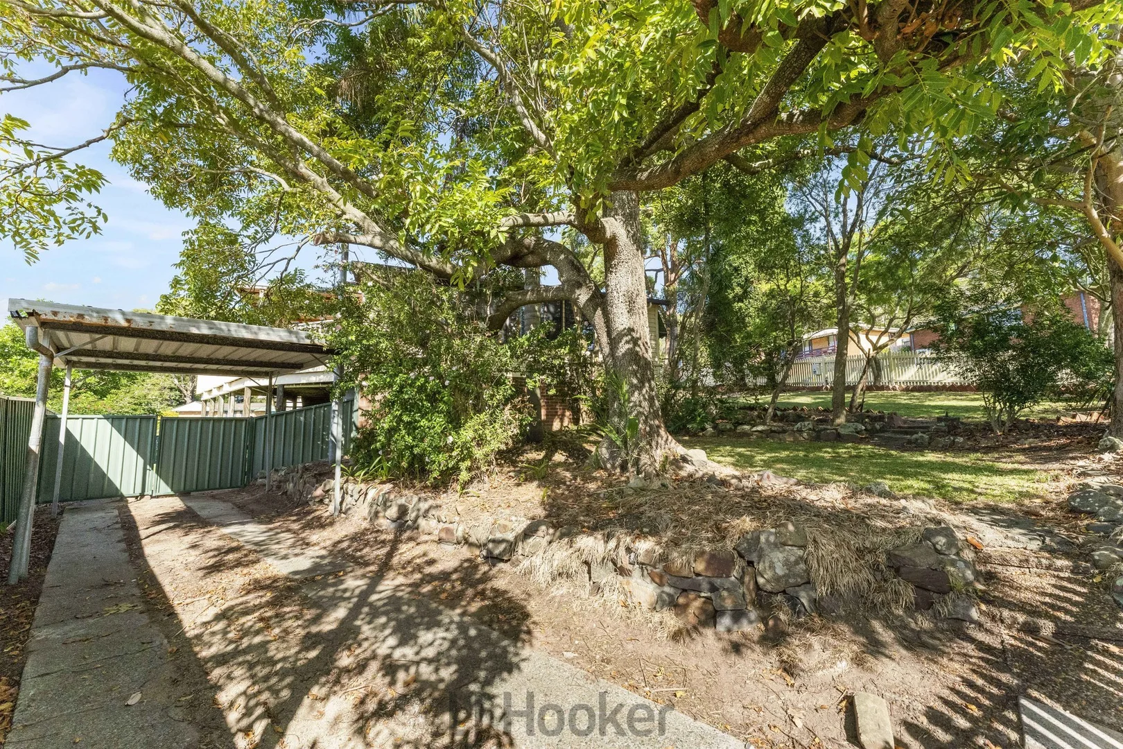 Image 15
