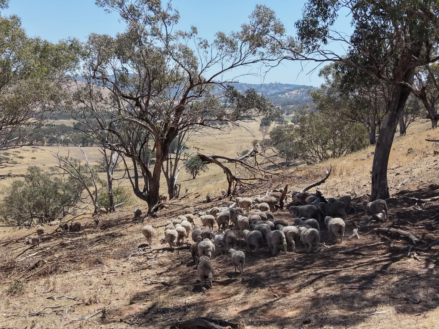 Image 10