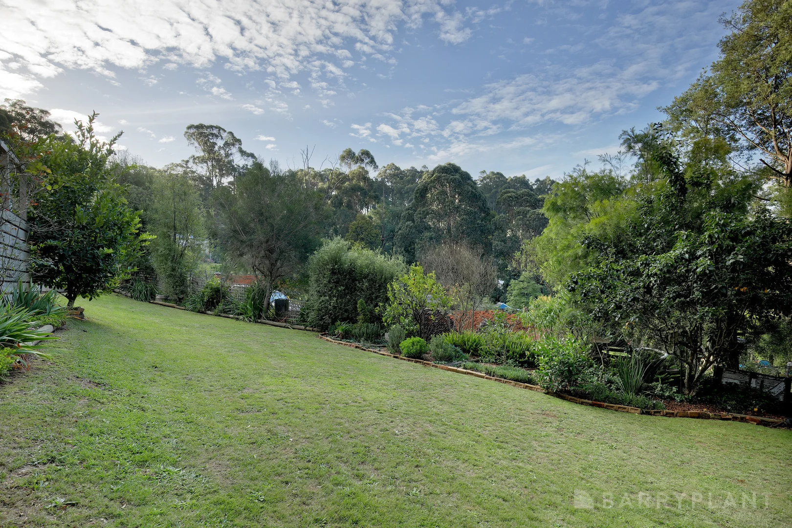 Image 13