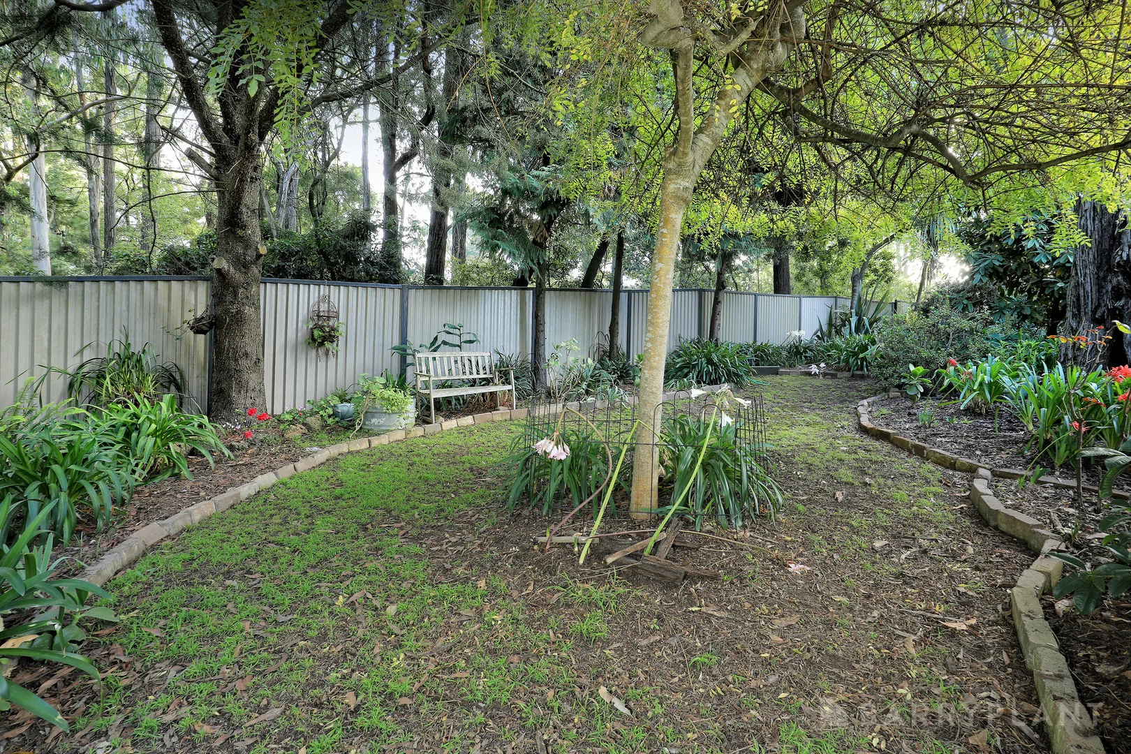Image 15