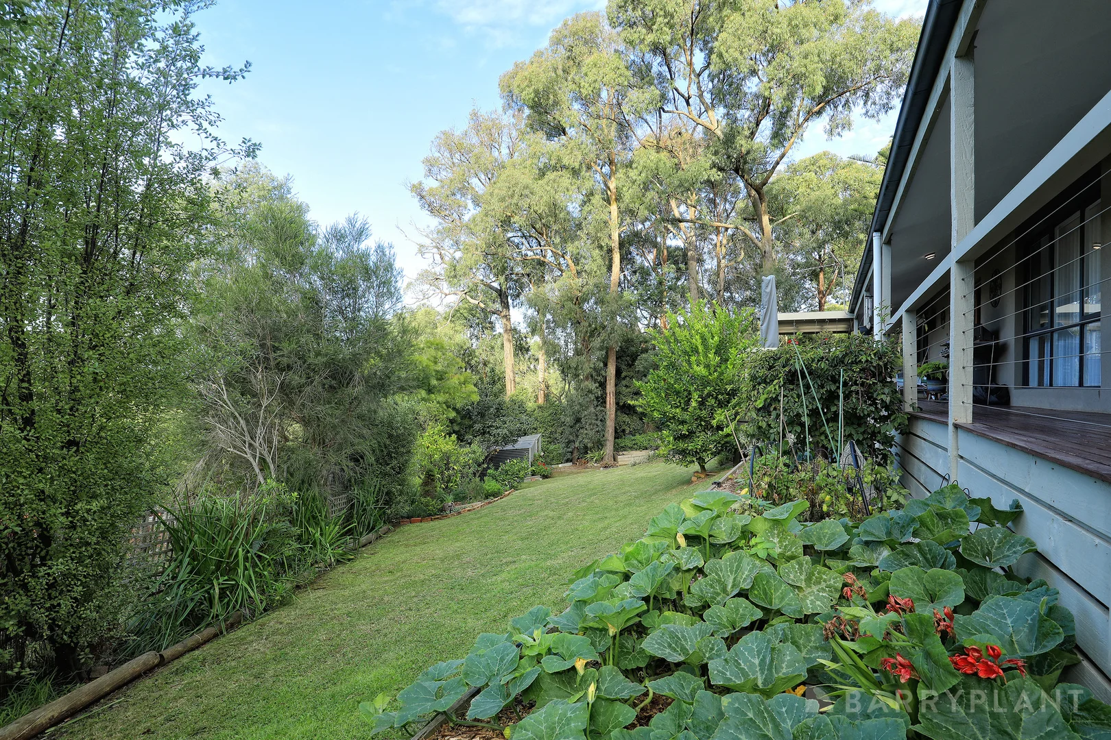 Image 26