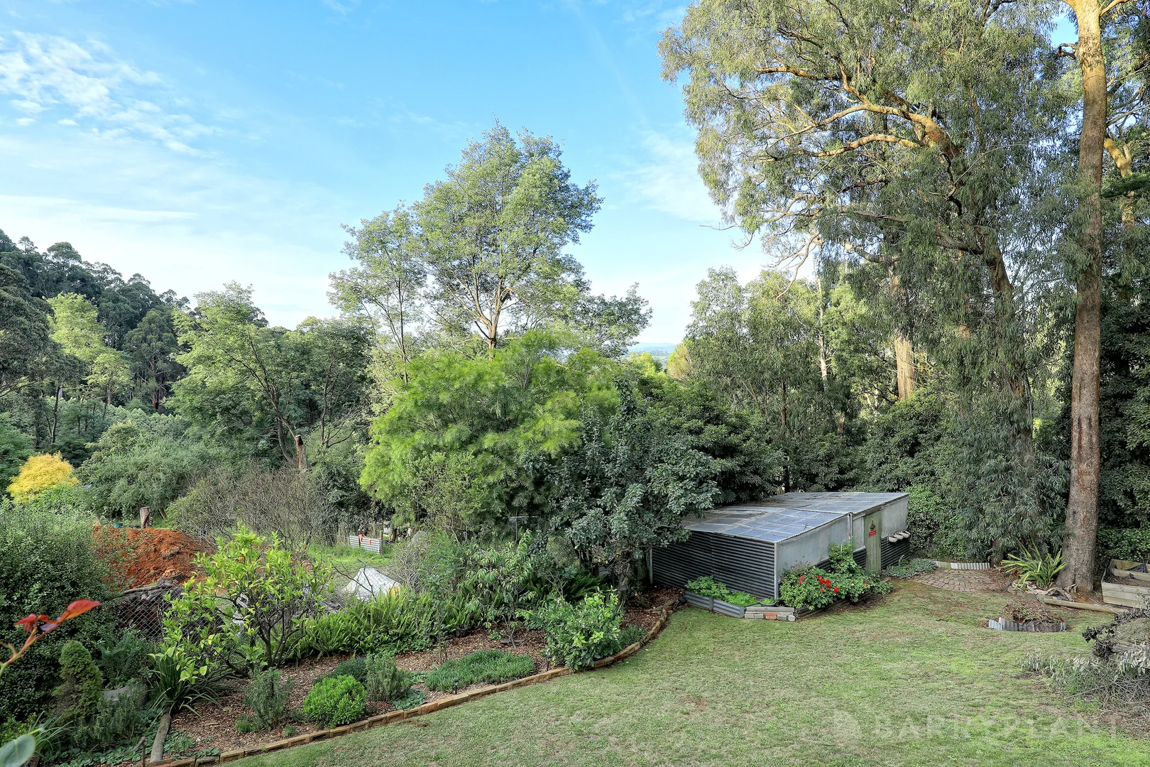 Image 29