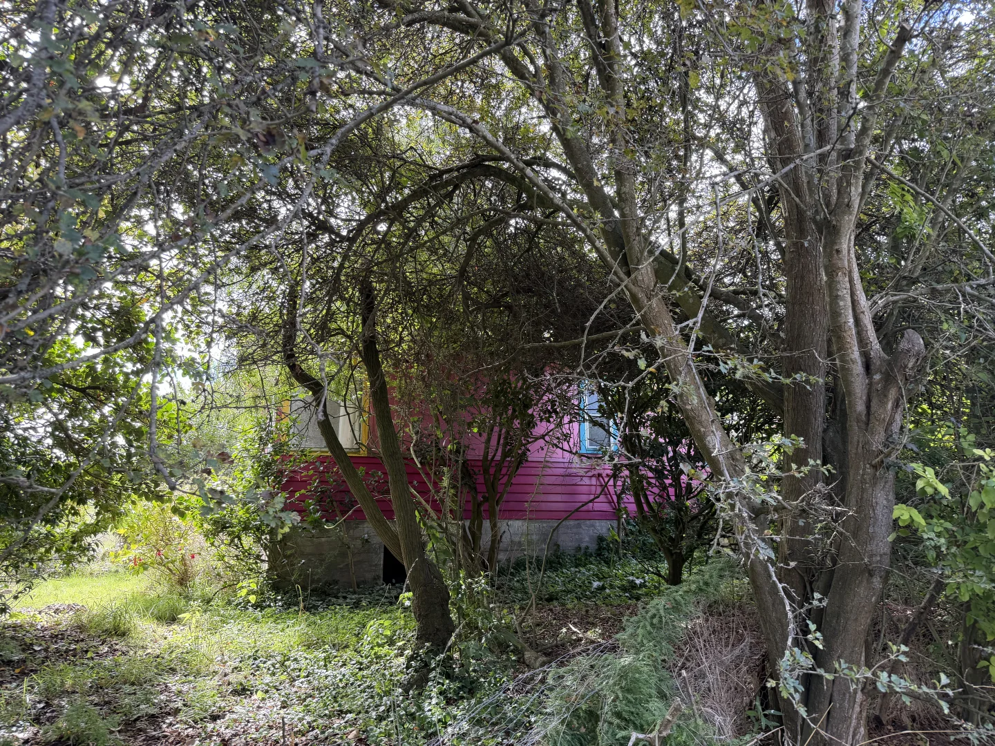 Image 10