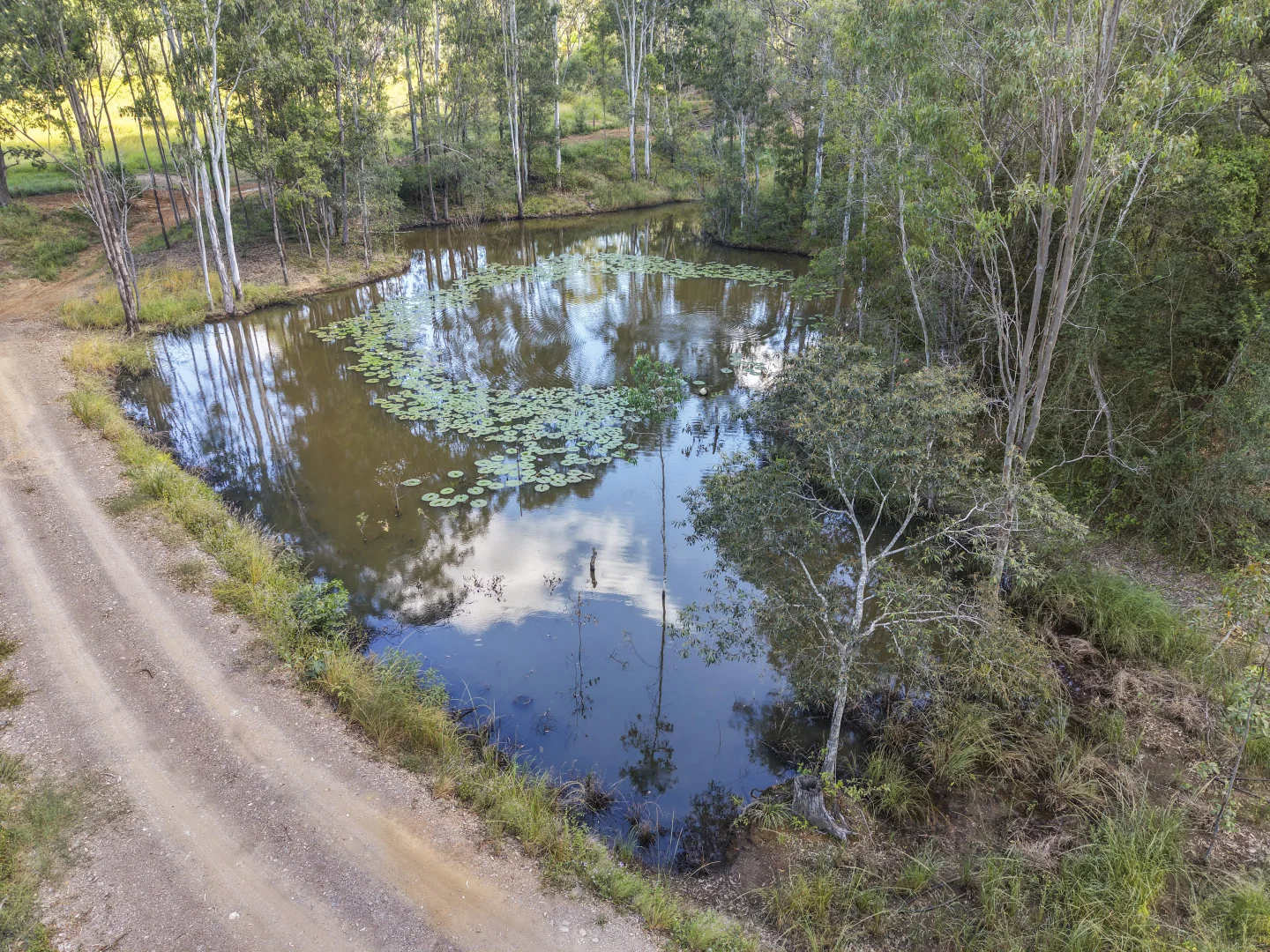 Image 9