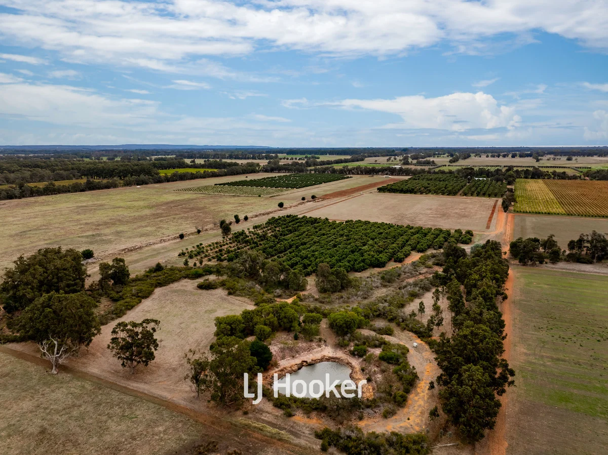 Image 10