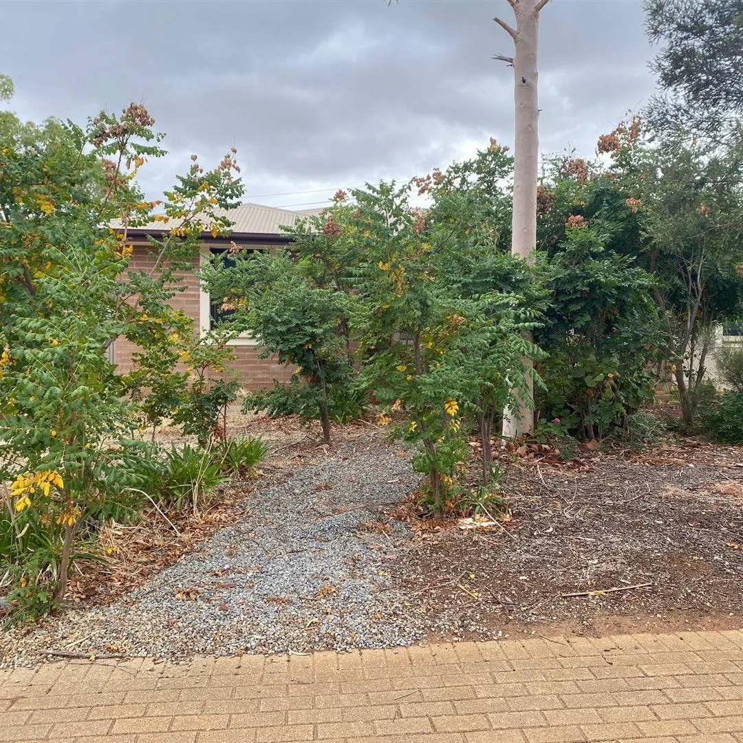 Image 12