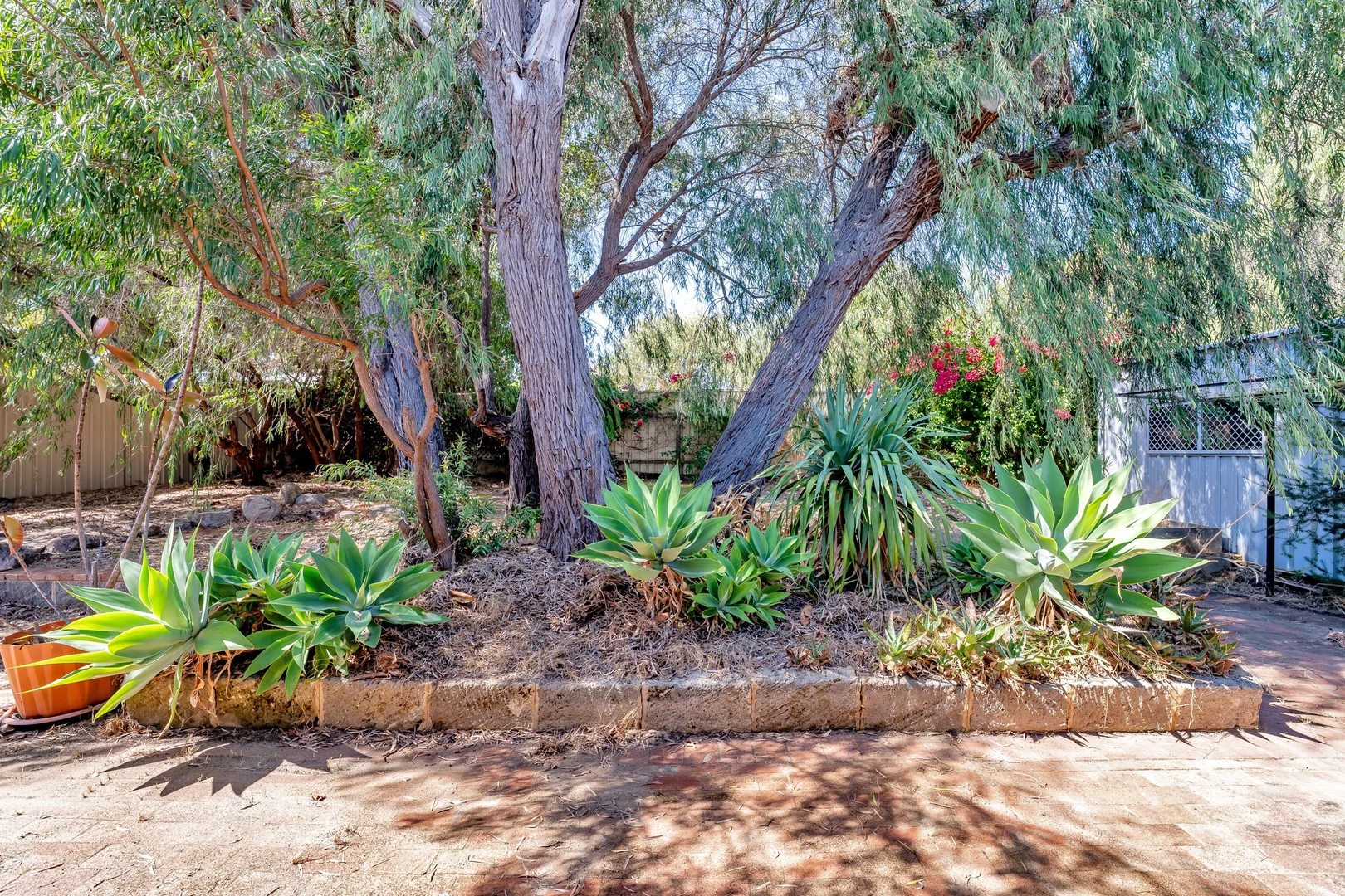 Image 33
