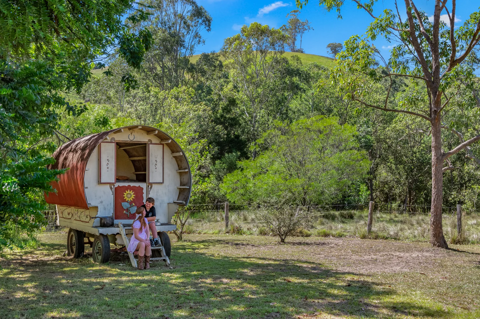 Image 6