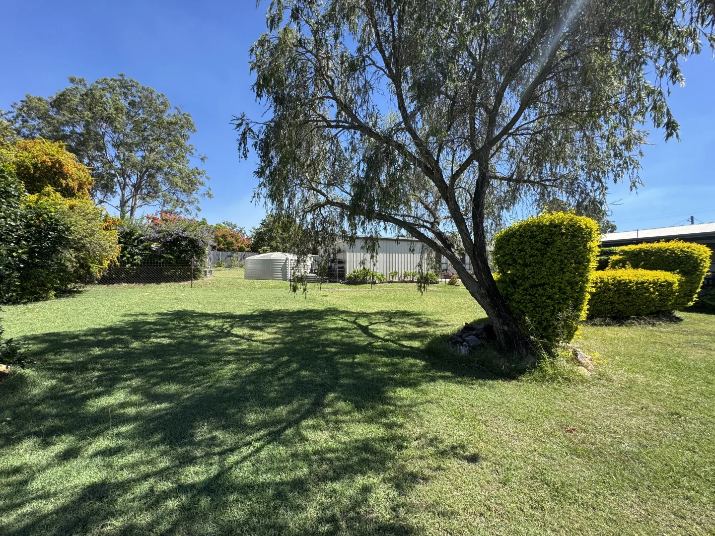 Image 12