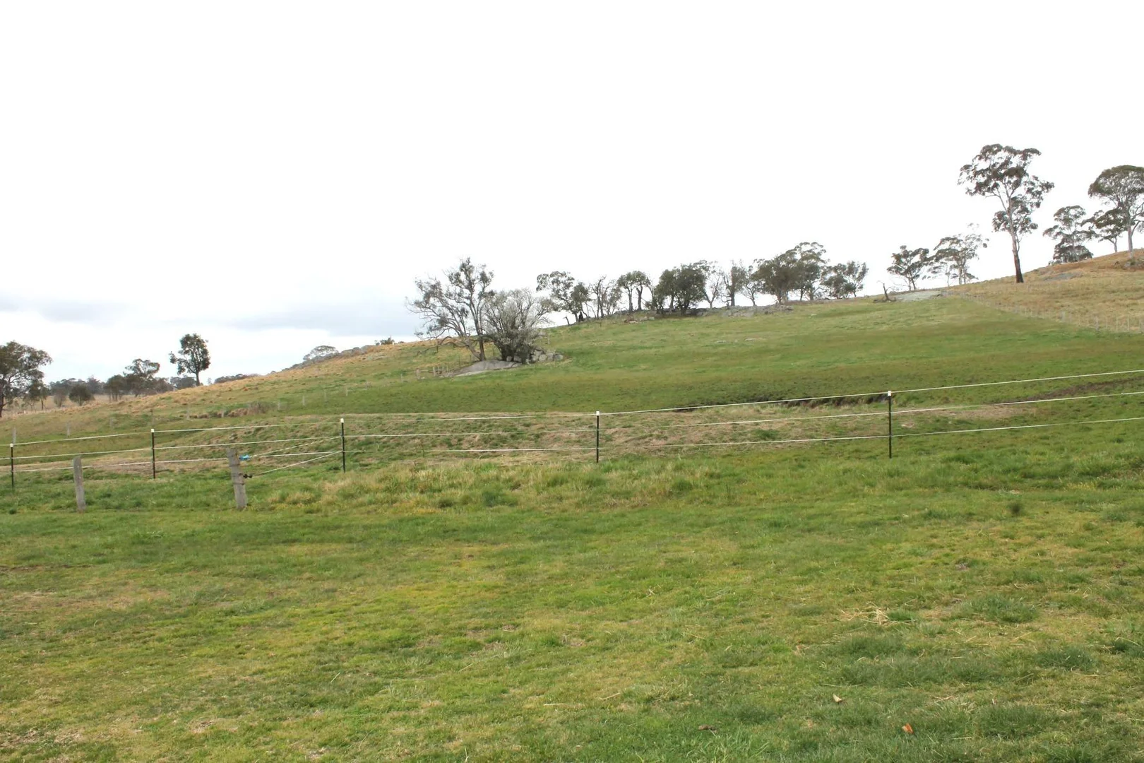 Image 13