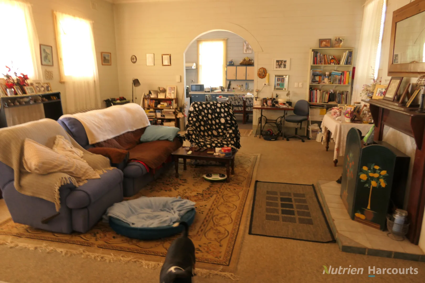 Image 7