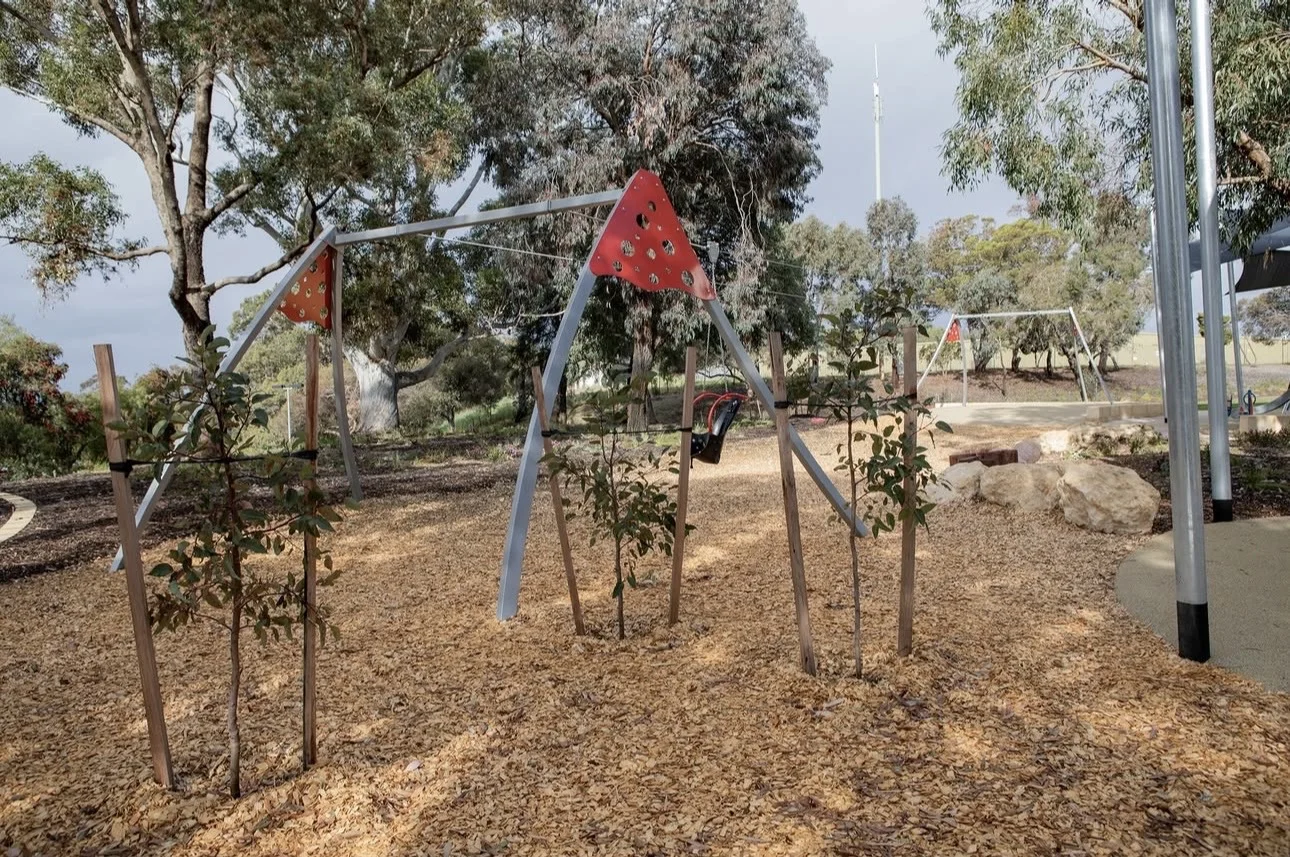 Image 20
