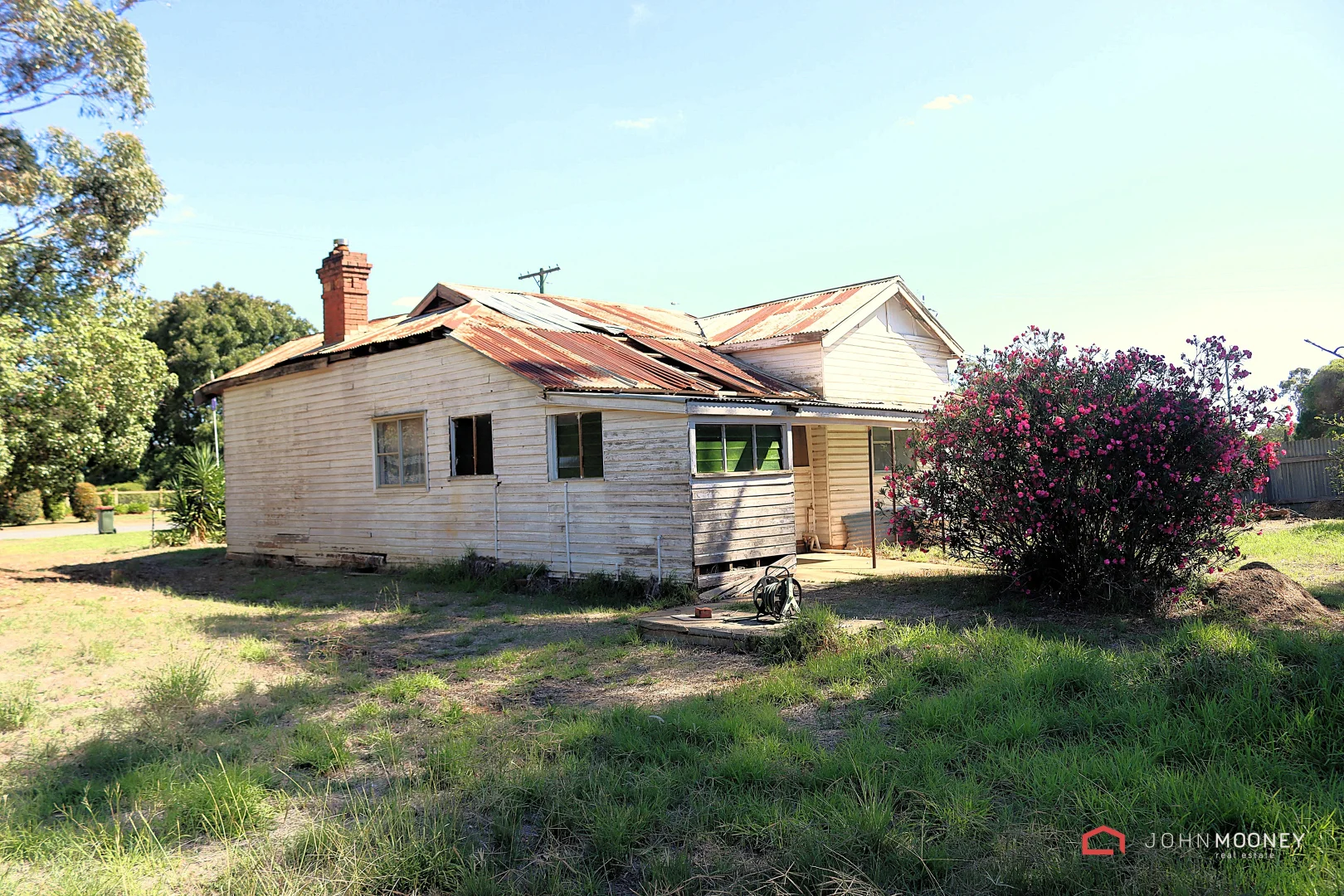 Image 12