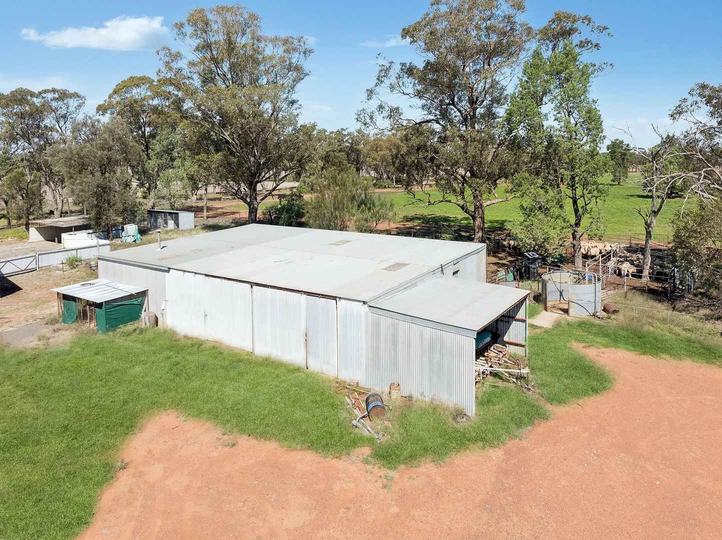 Image 20