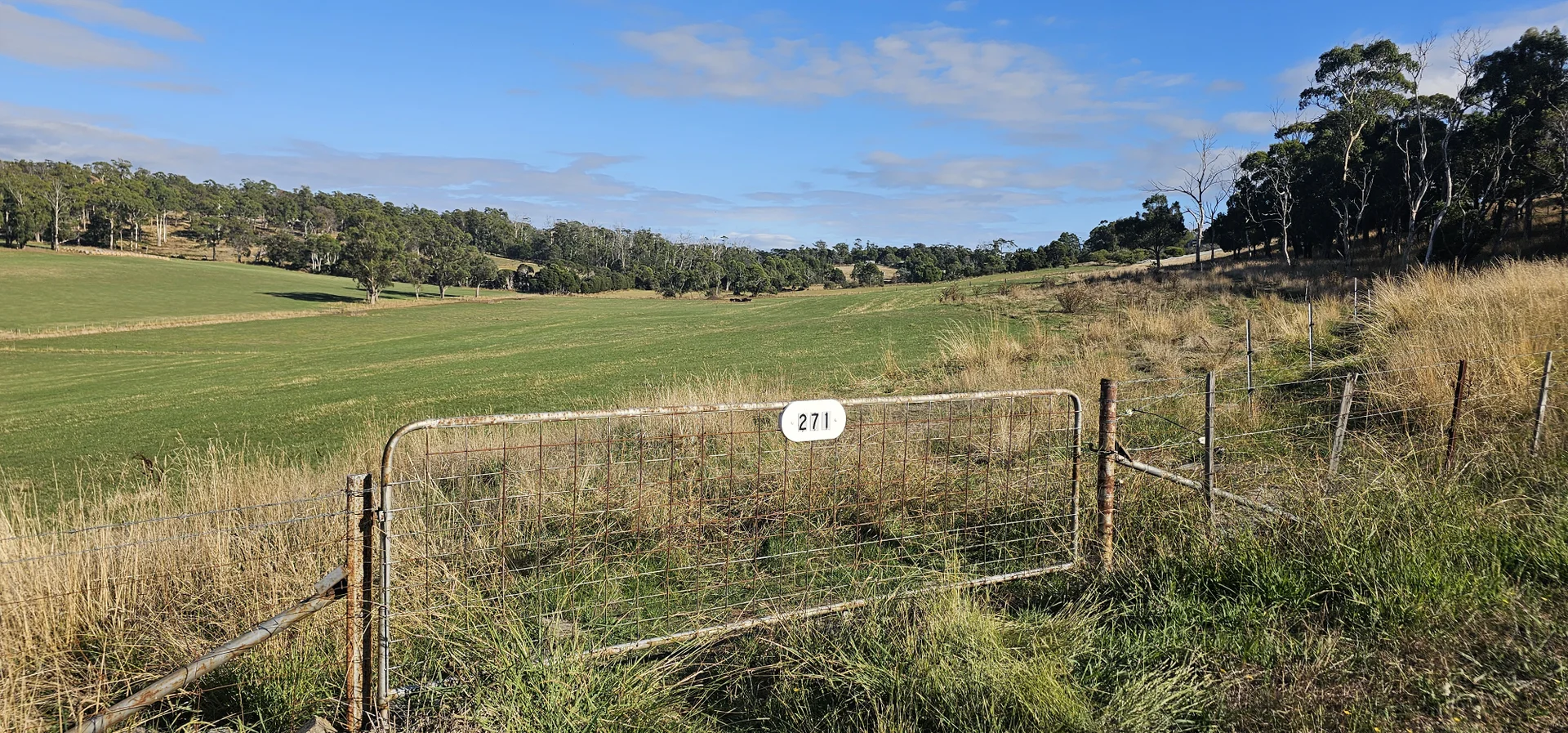 Image 9