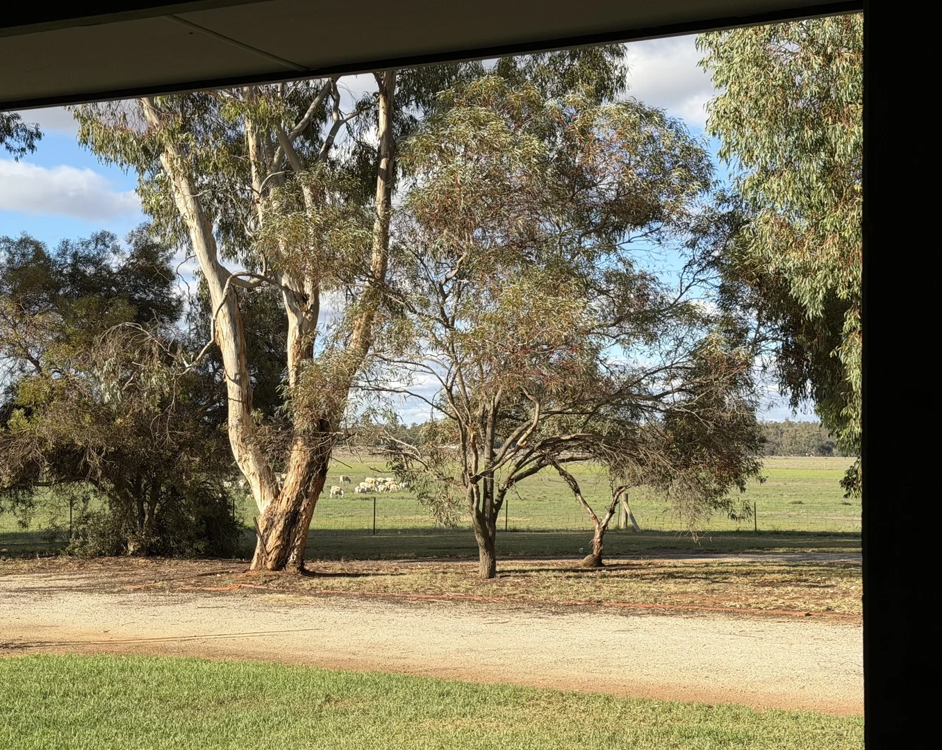 Image 22