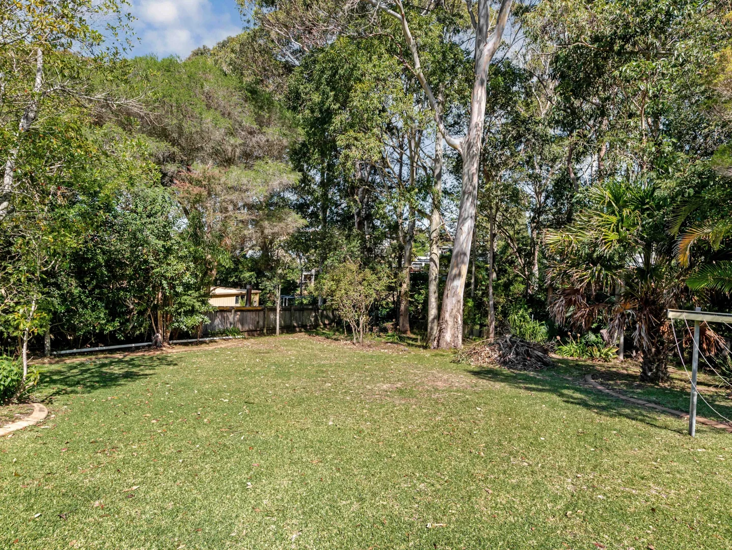 Image 15