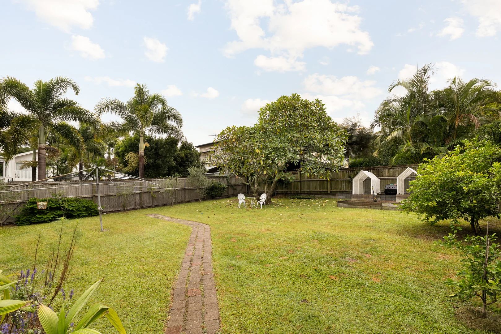 Image 15