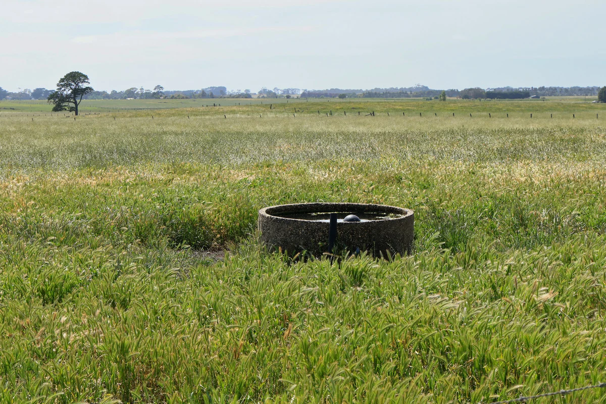 Image 19