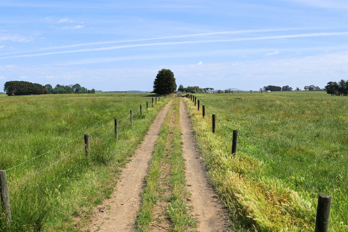 Image 20