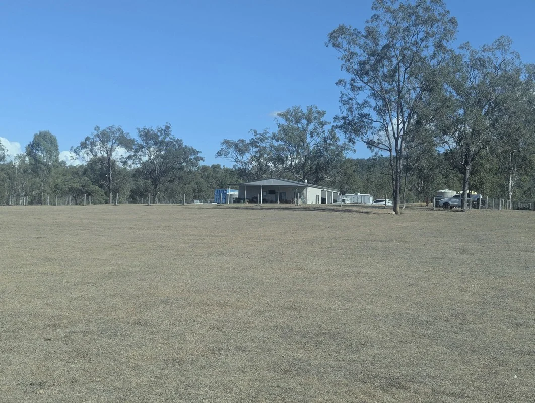 Image 11
