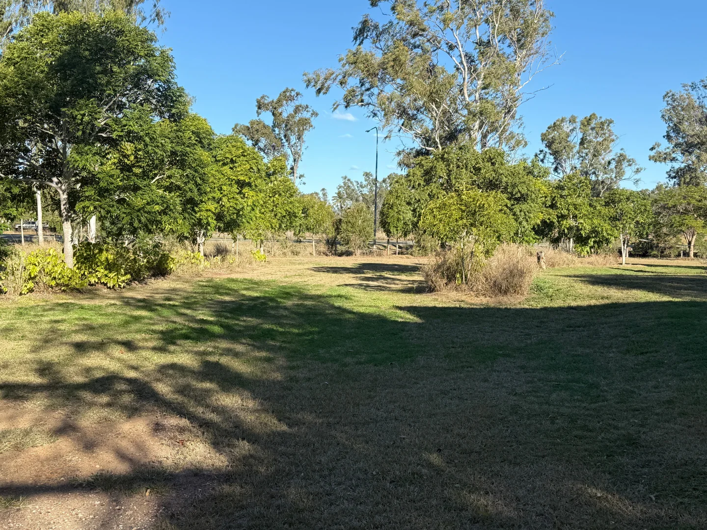 Image 21