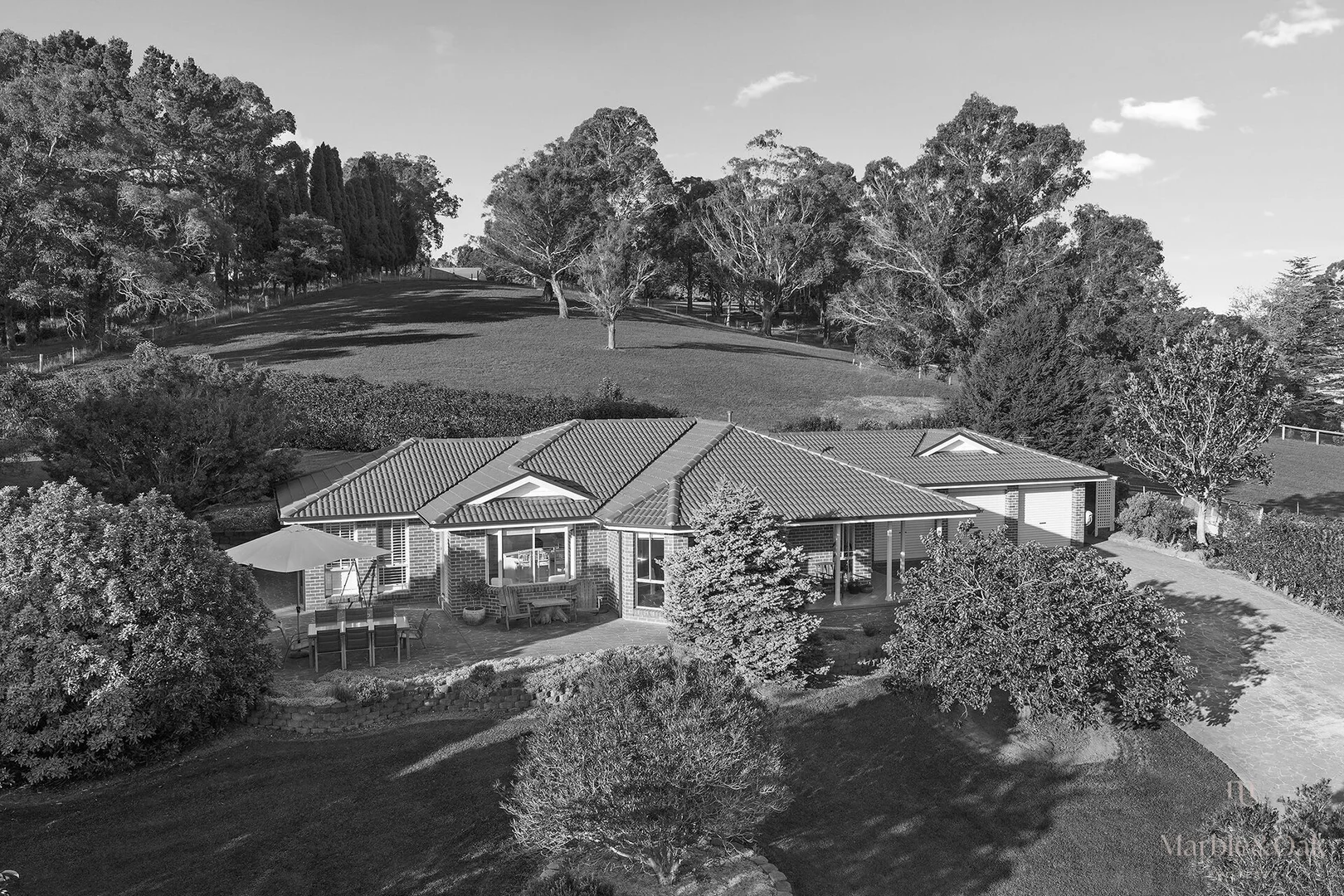 Image 14