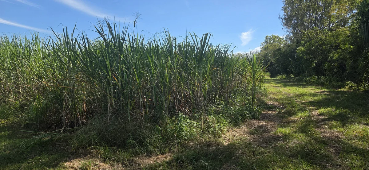 Image 14