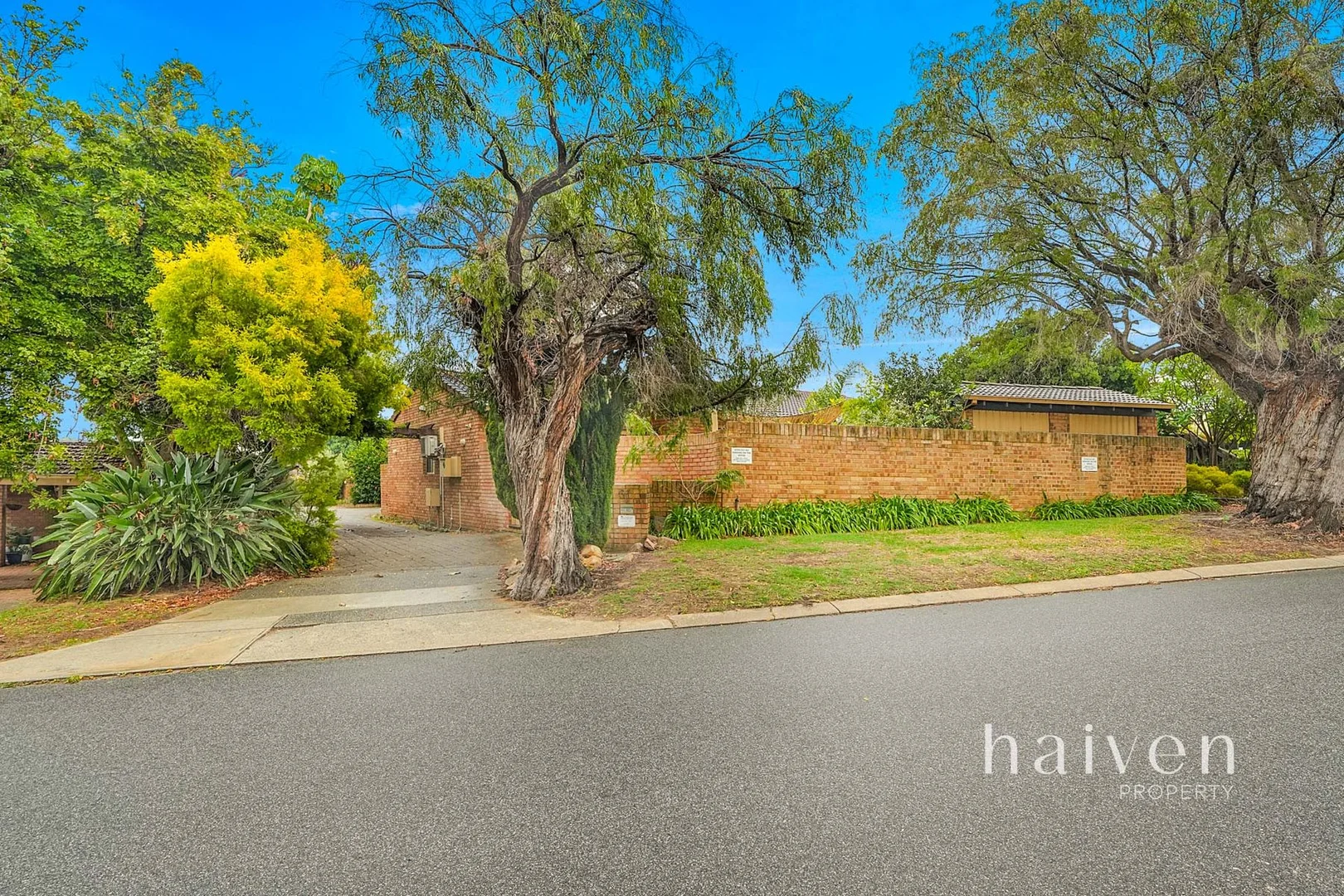 Image 36
