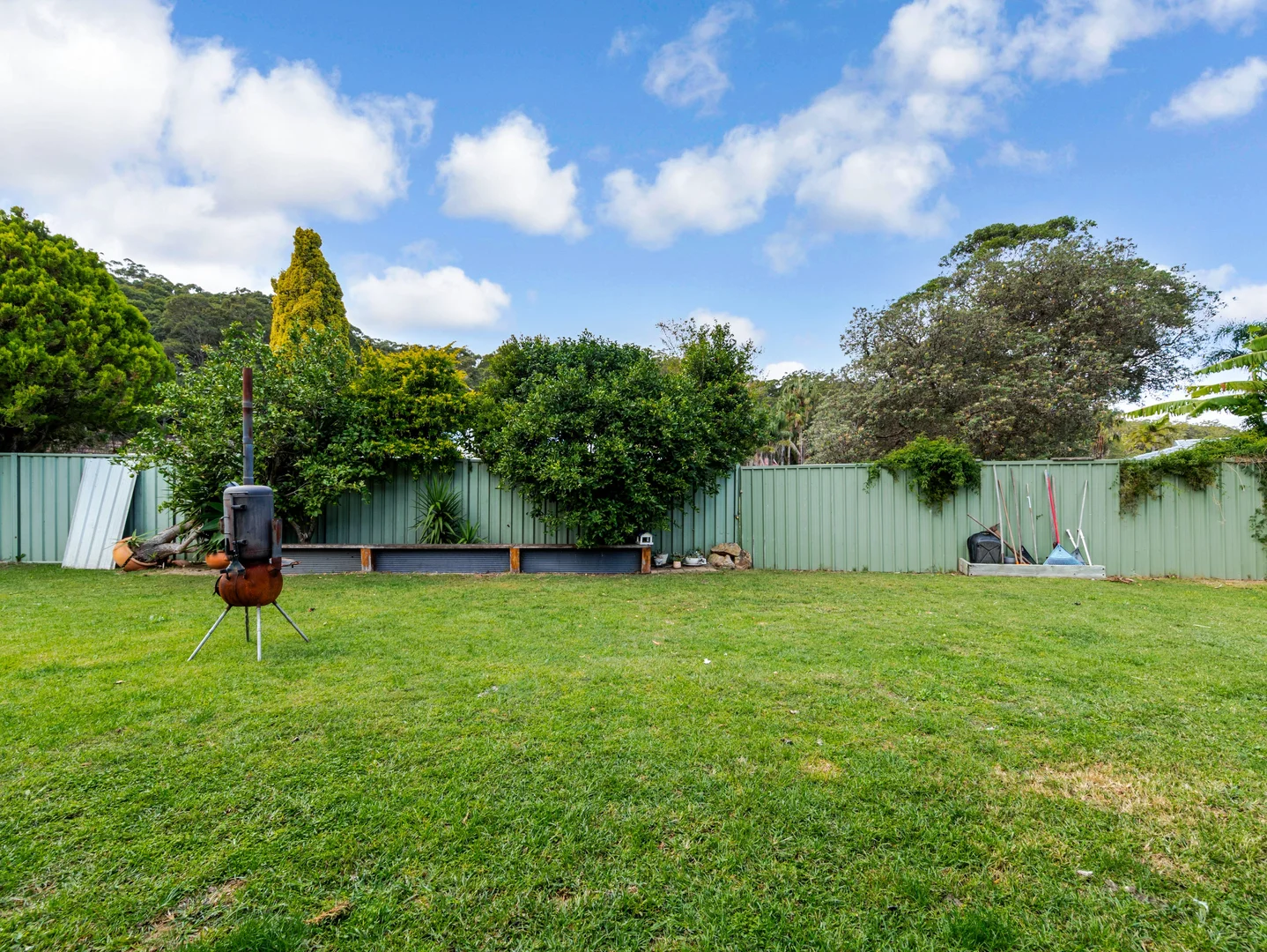 Image 6