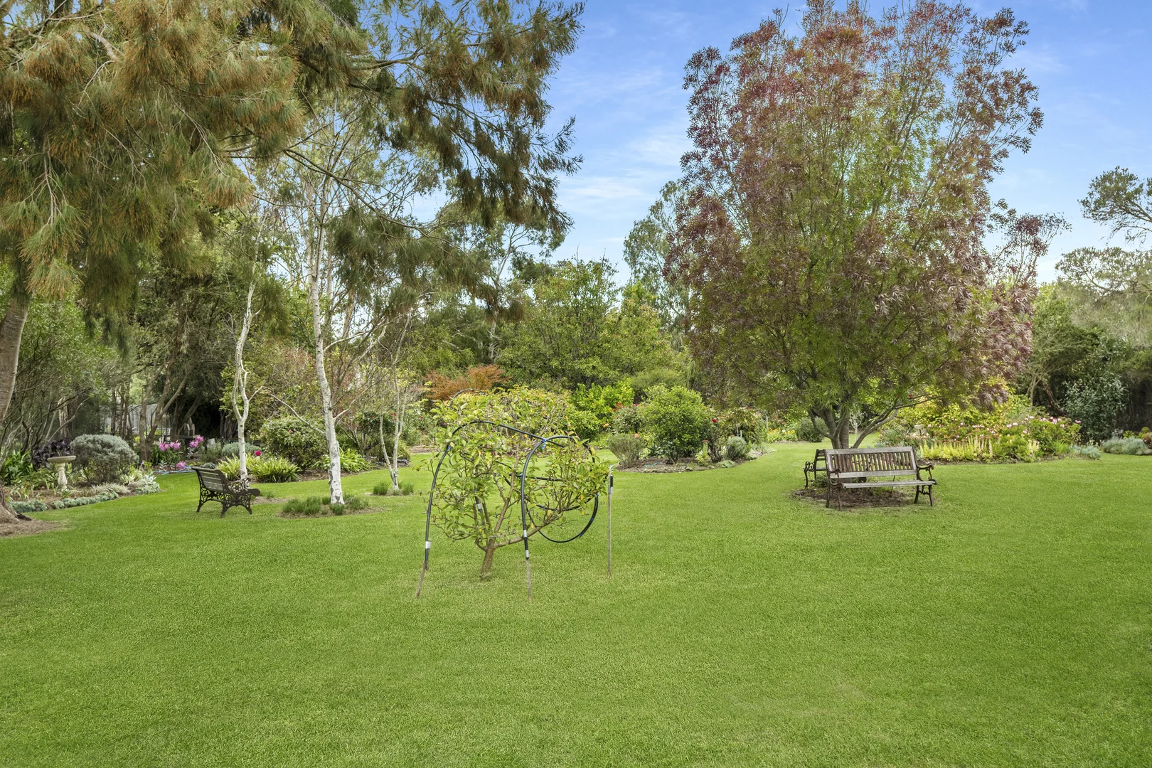 Image 13