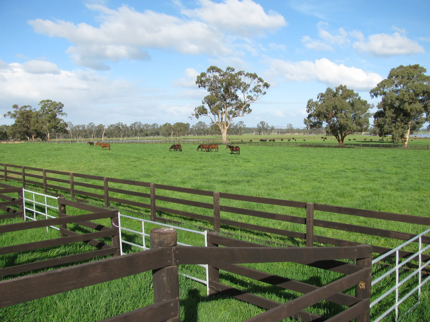 Image 13