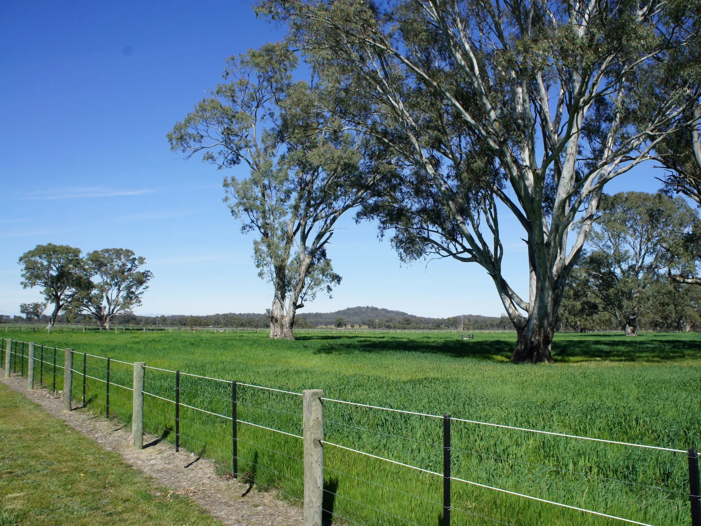 Image 17