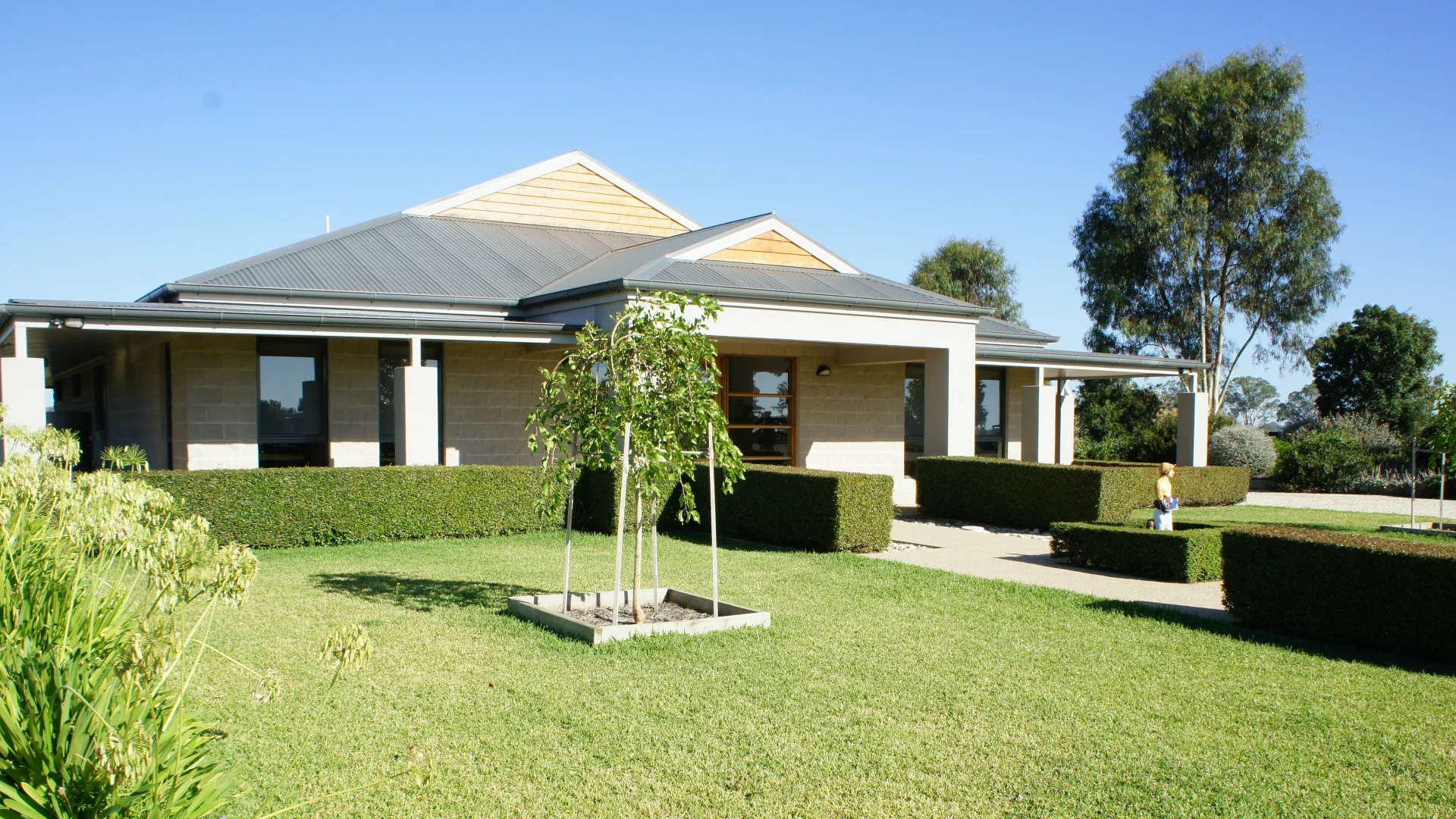 Image 20