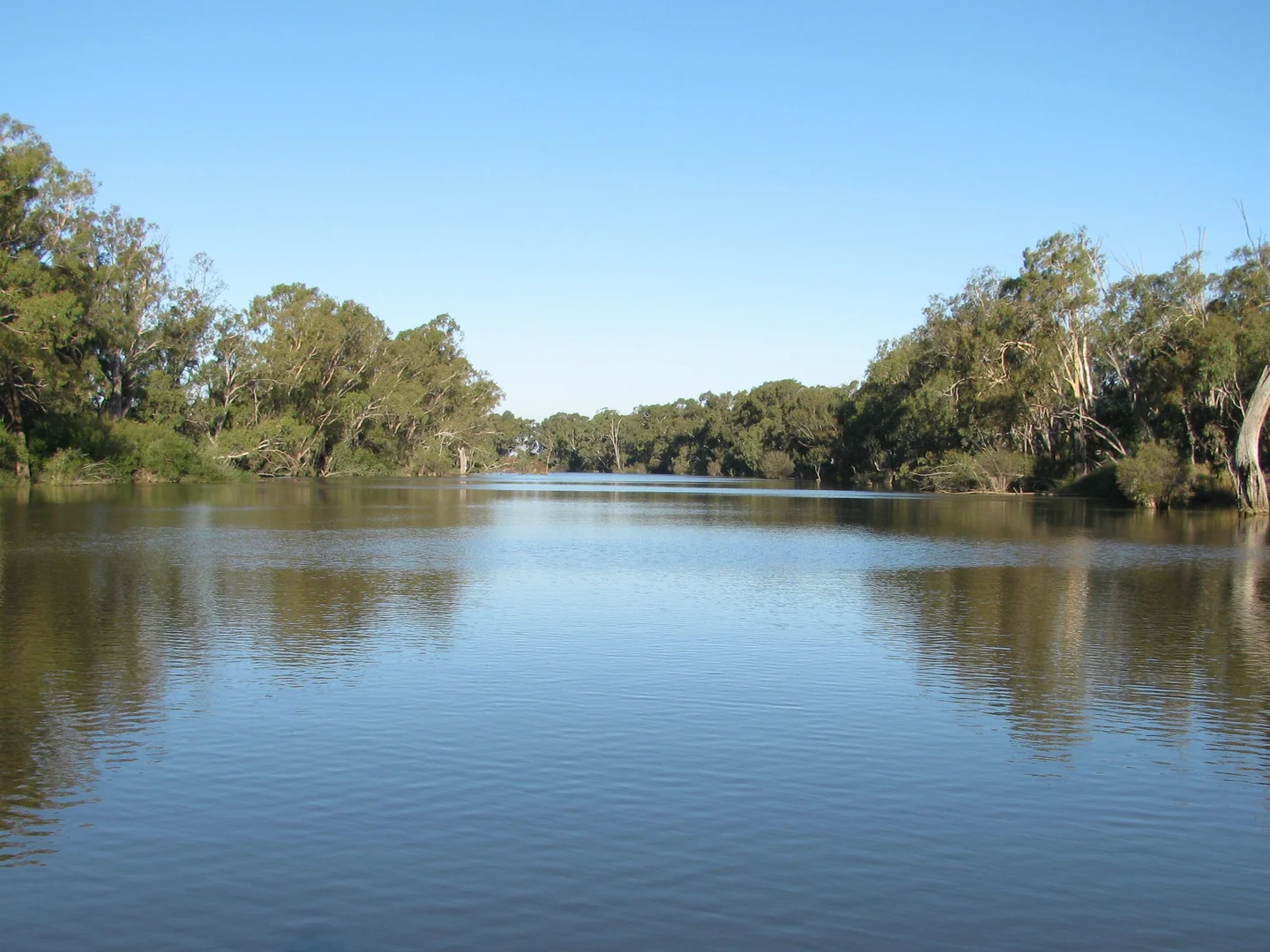 Image 10