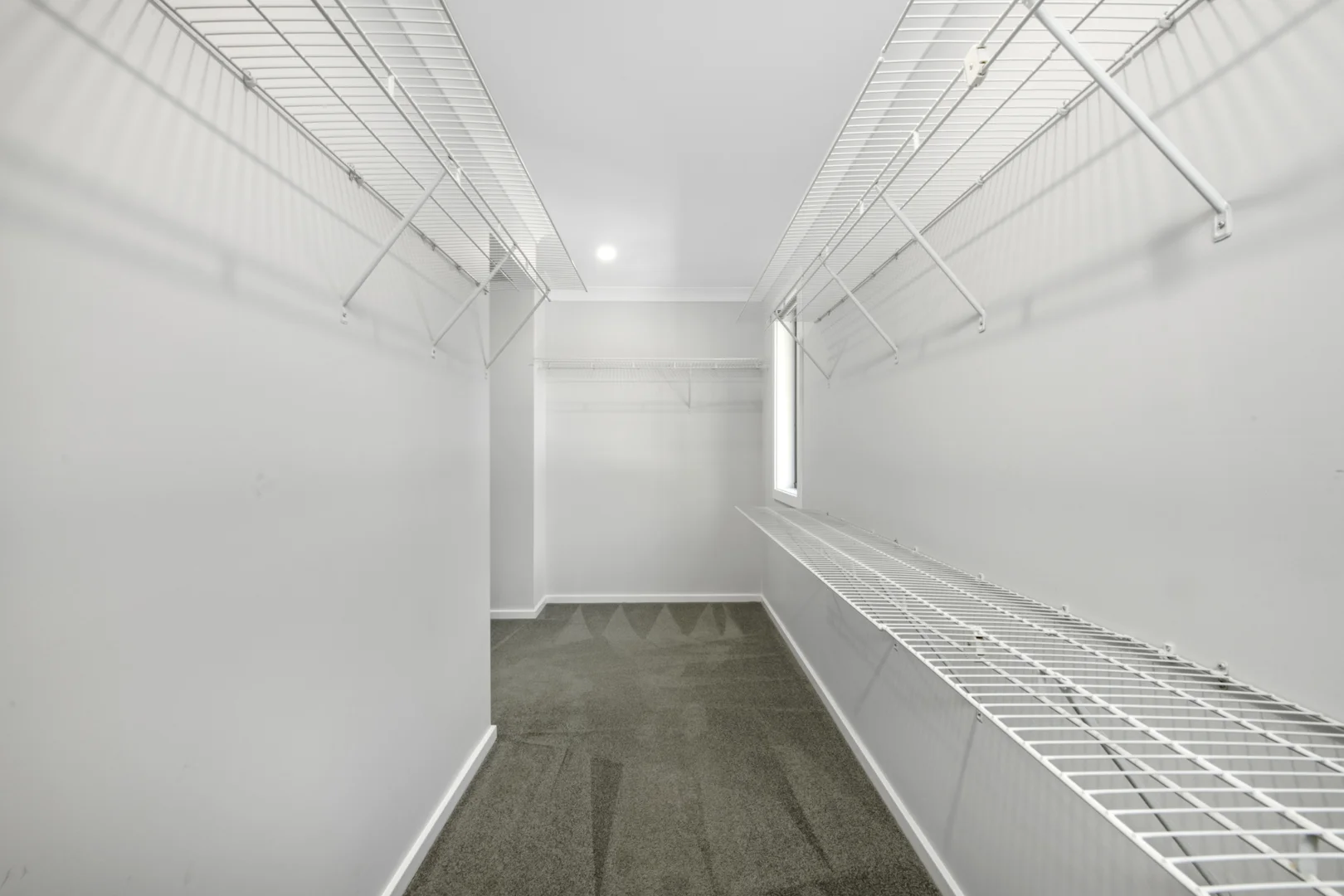 Image 13